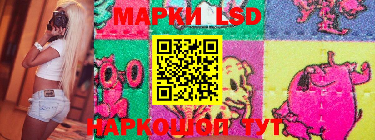 Наркотические марки 1500мкг  Вход с VPN  Наркотические марки 1500мкг  Анапа 