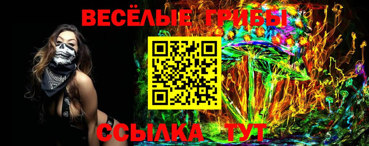 Псилоцибиновые грибы мухоморы Анапа
